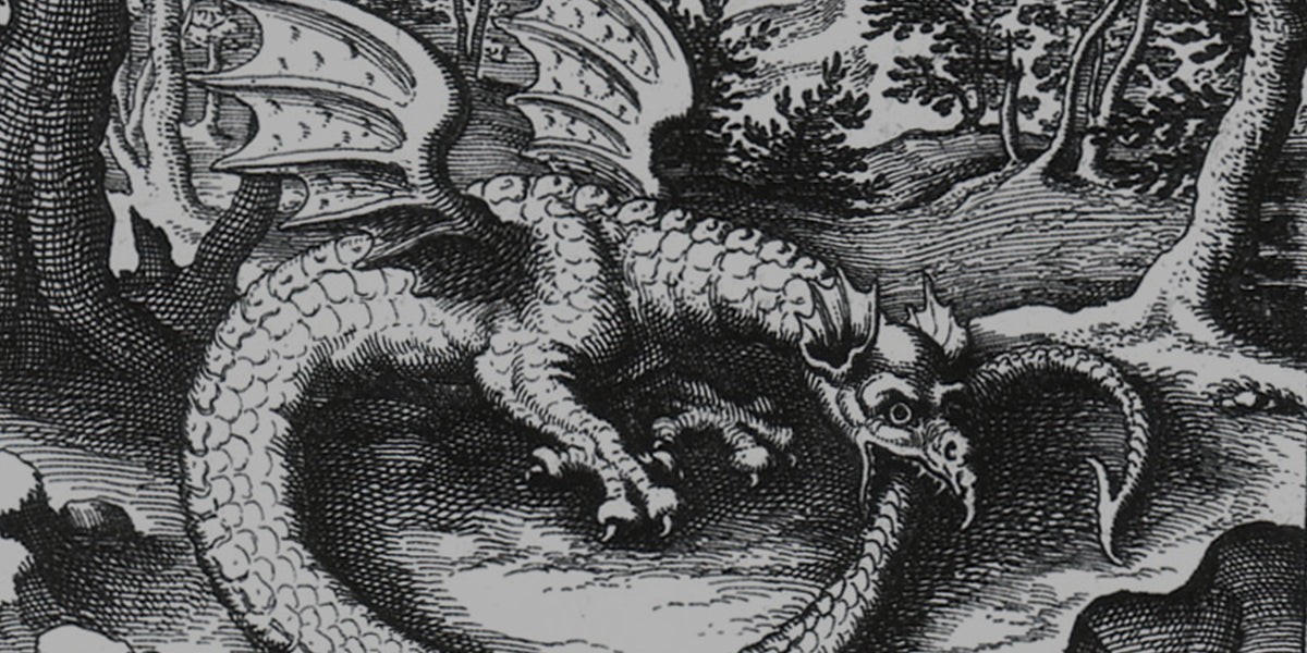Book Wyrm Wing