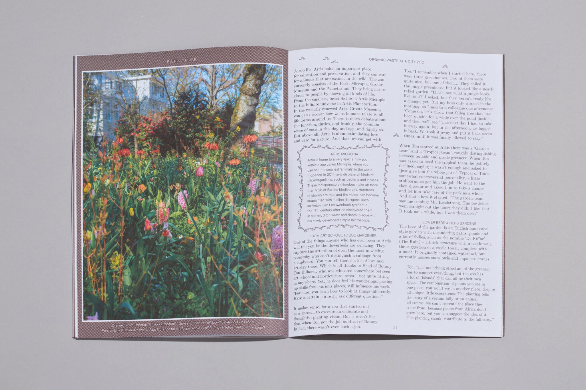 Pleasant Place Issue 3: Compost