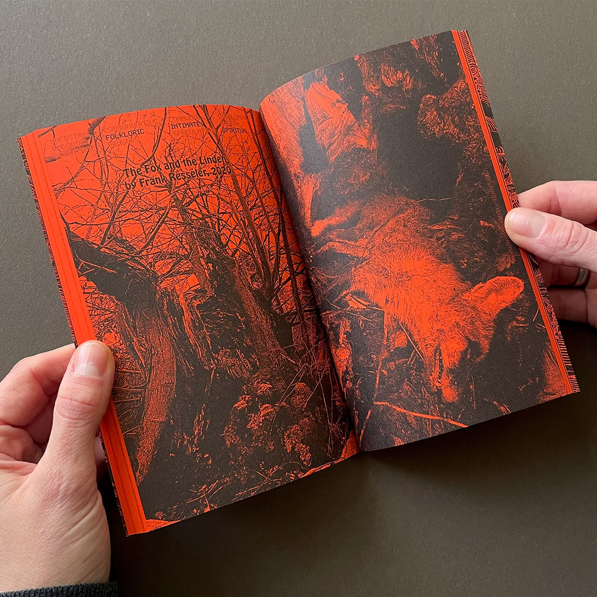 A Tree, A Reader on Arboreal Kinship