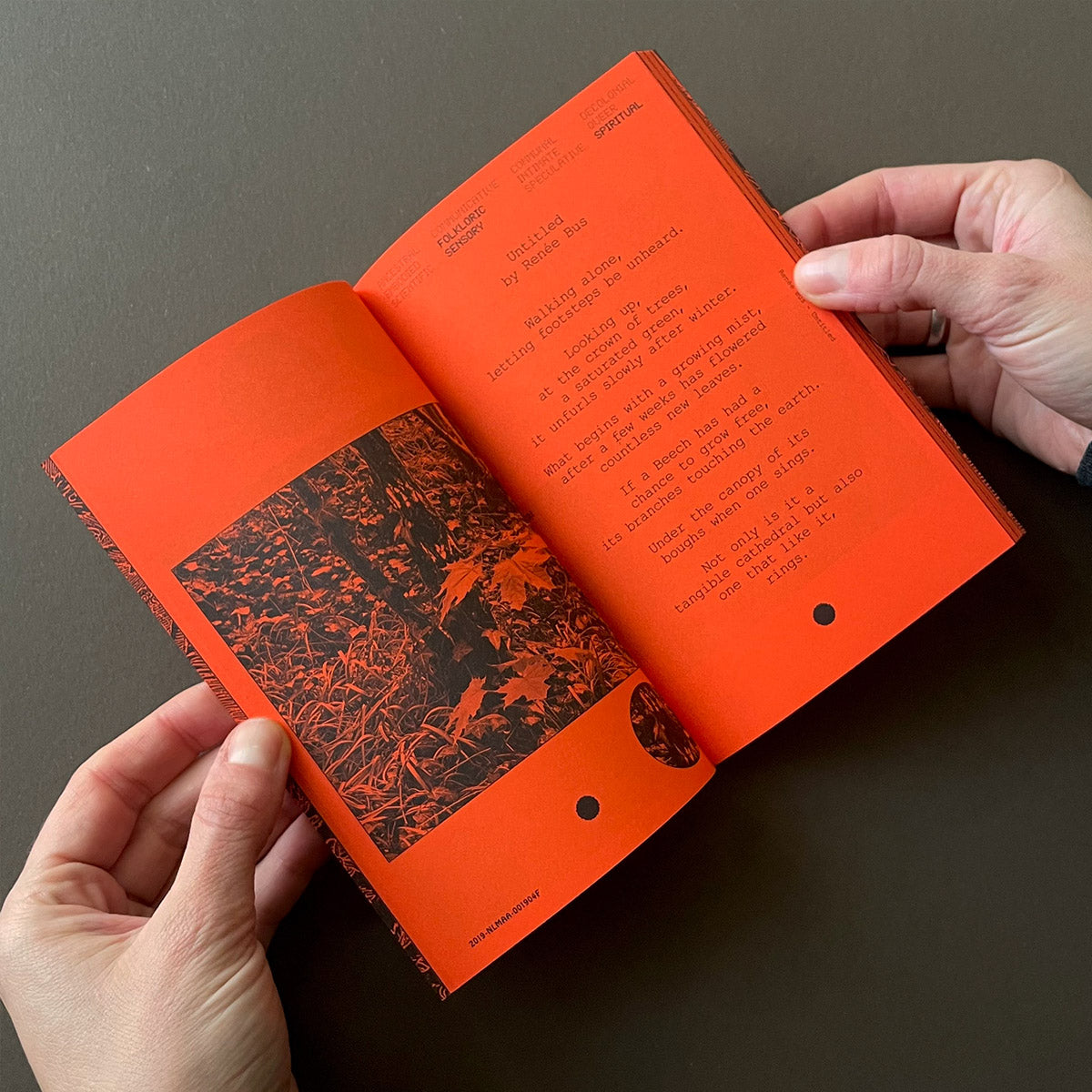 A Tree, A Reader on Arboreal Kinship - Onomatopee - Haus Nostromo