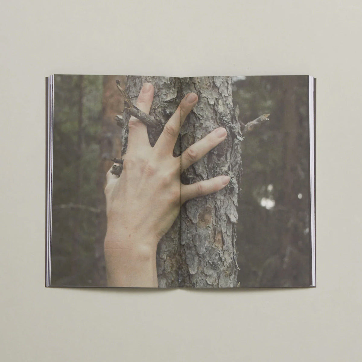 Becoming the Forest Issue V - Una Hamilton Helle - Haus Nostromo