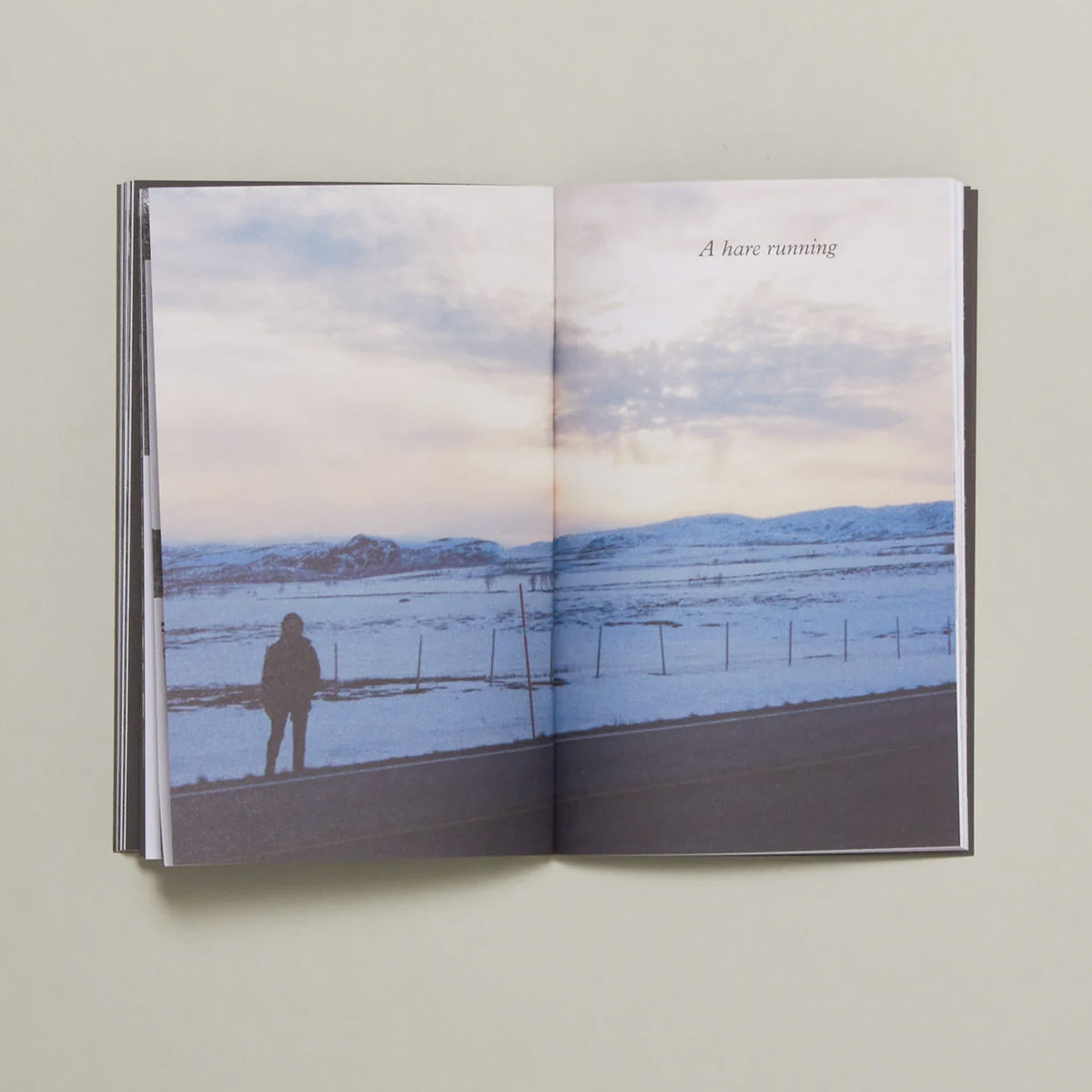 Becoming the Forest Issue V - Una Hamilton Helle - Haus Nostromo