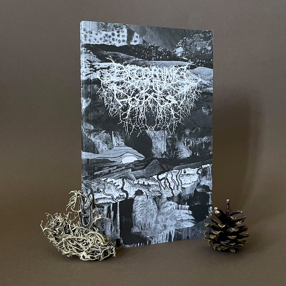 Becoming The Forest Issue 5 zine with a black and white nature-themed cover on a brown background