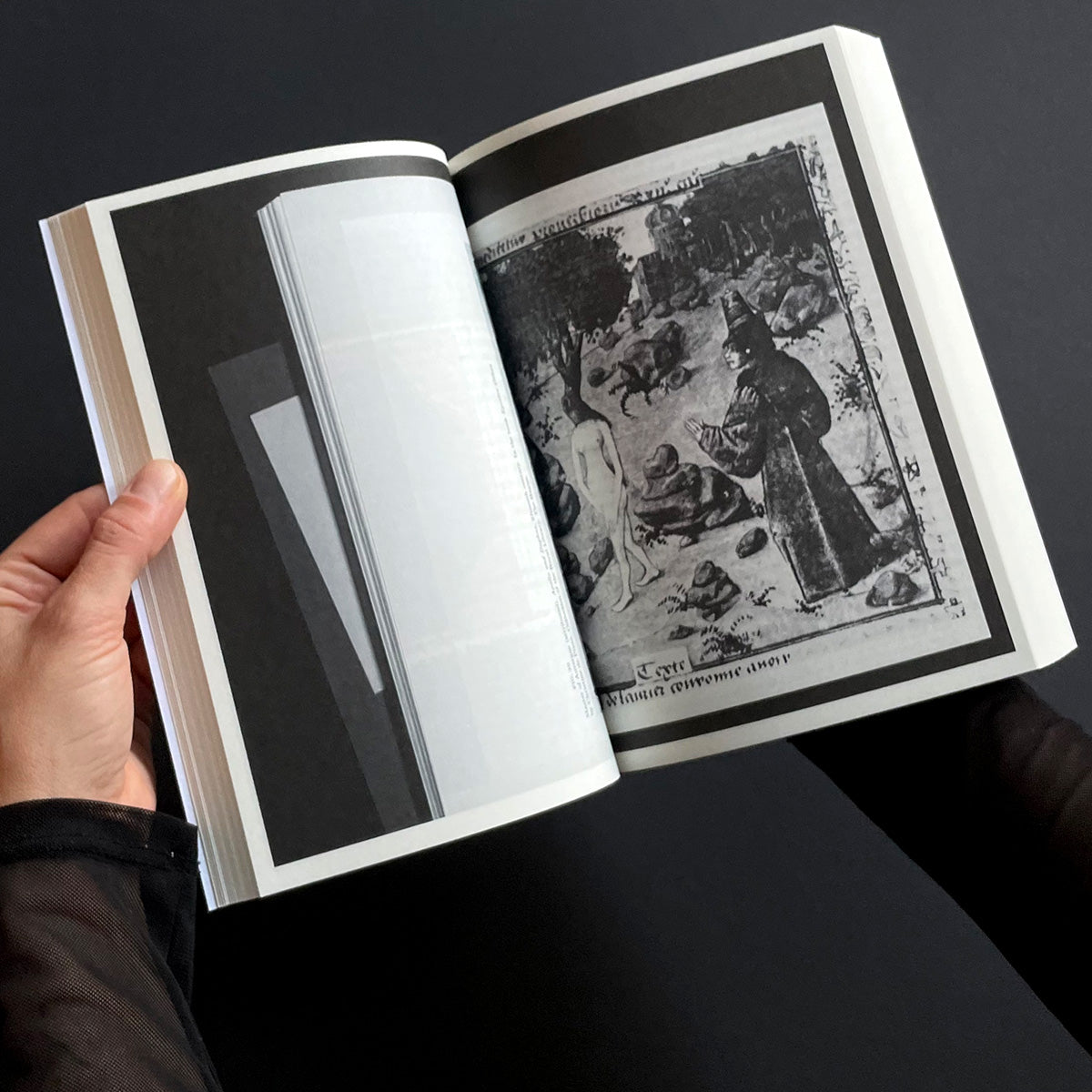 A Biography of Daphne - Mihnea Mircan & Helen Hughes - Haus Nostromo