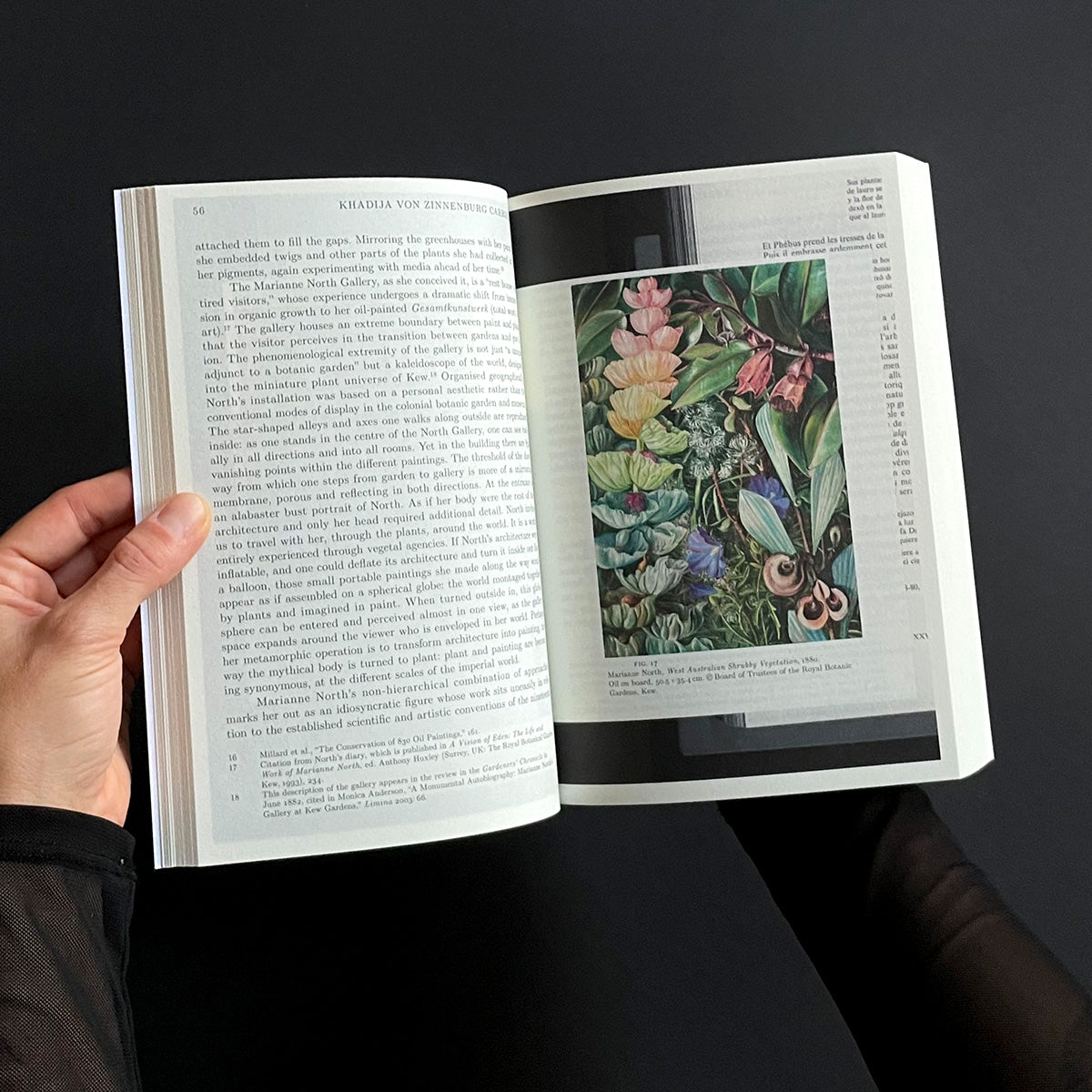 A Biography of Daphne - Mihnea Mircan & Helen Hughes - Haus Nostromo