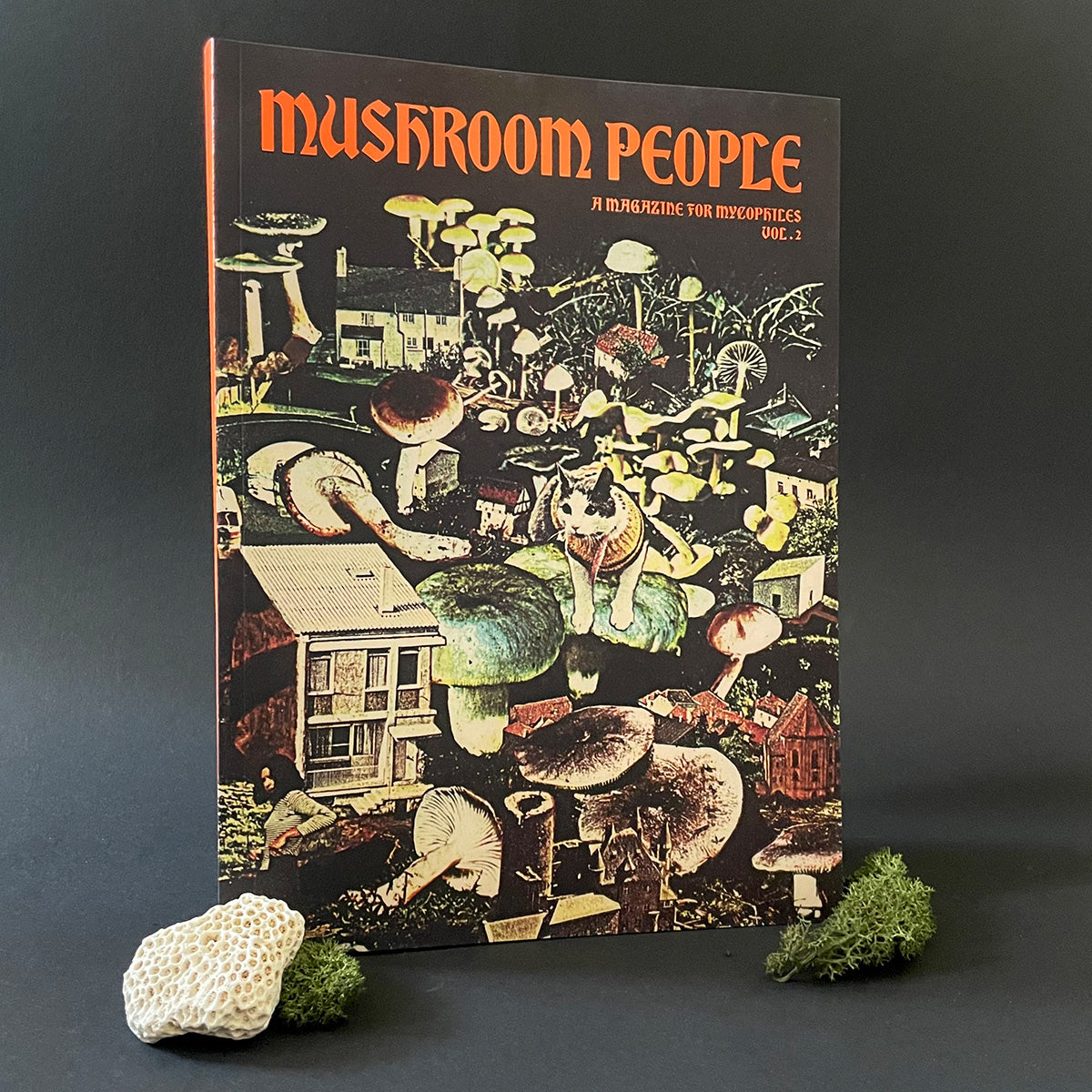 A magazine cover of 'Mushroom People' featuring a colorful illustration of various characters and mushrooms, indicating it is a themed issue around mushrooms and people.