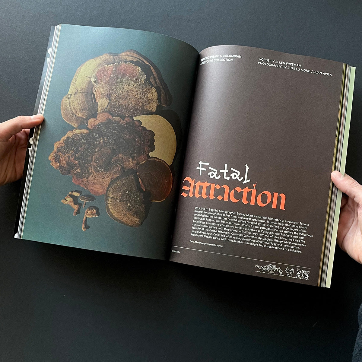 Mushroom People Magazine Volume Two - Broccoli - Haus Nostromo