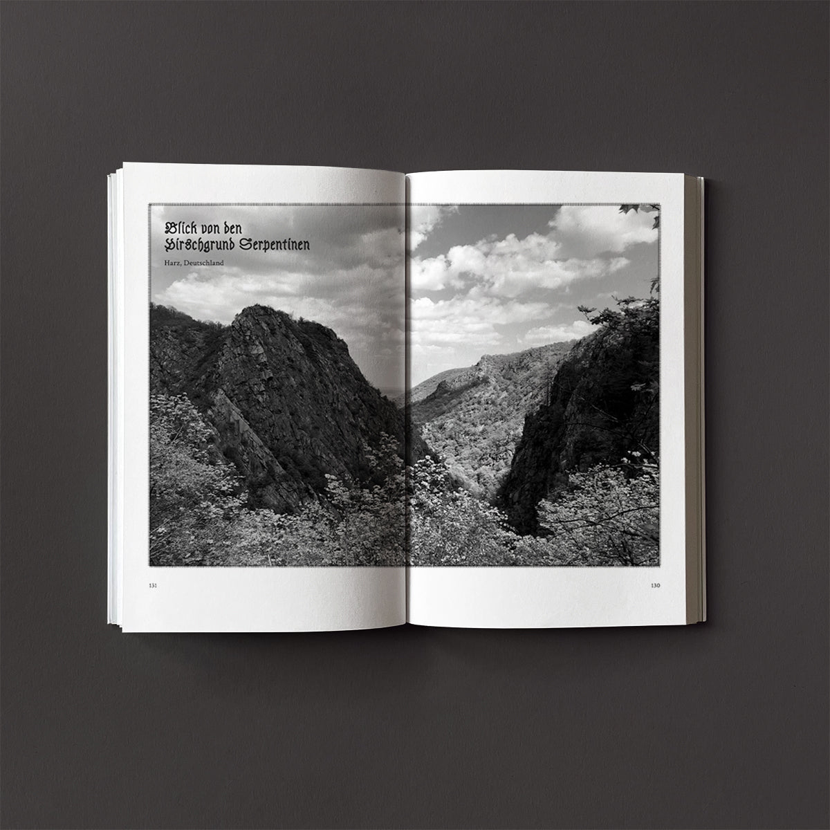 Wanderweg Issue 2 - Wanderweg Zine - Haus Nostromo