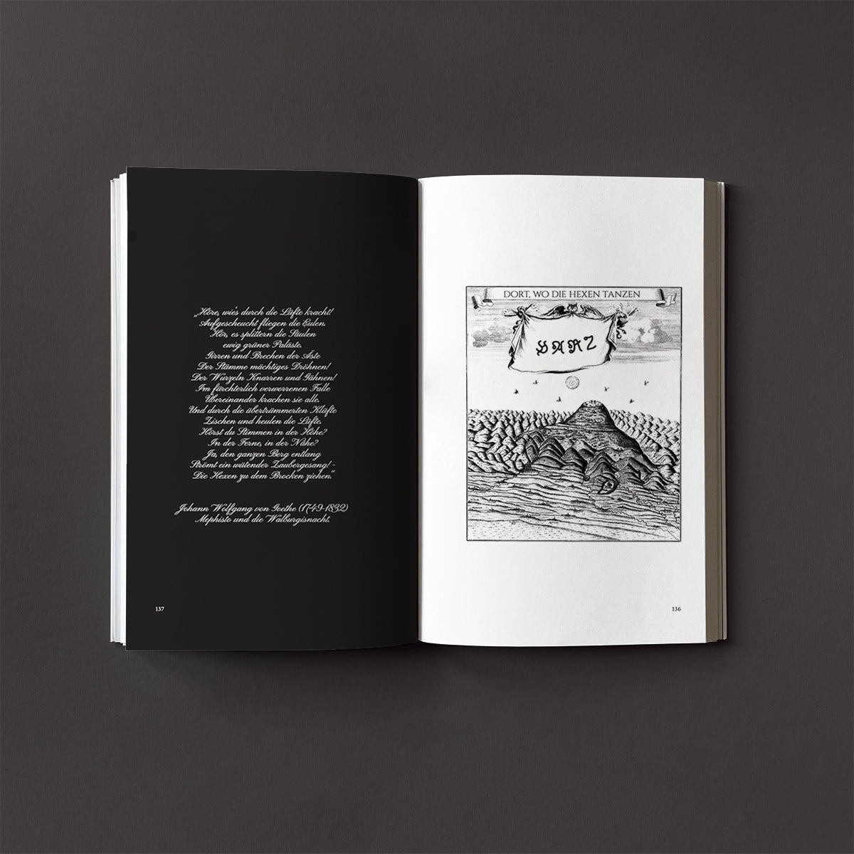 Wanderweg Issue 2 - Wanderweg Zine - Haus Nostromo