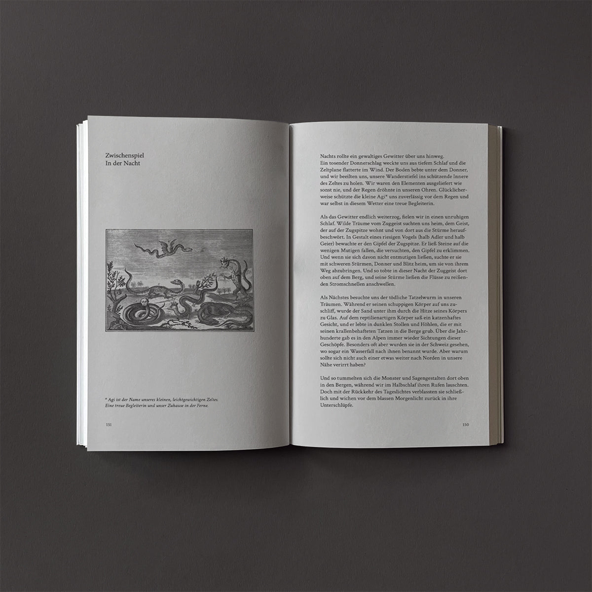 Wanderweg Issue 2 - Wanderweg Zine - Haus Nostromo