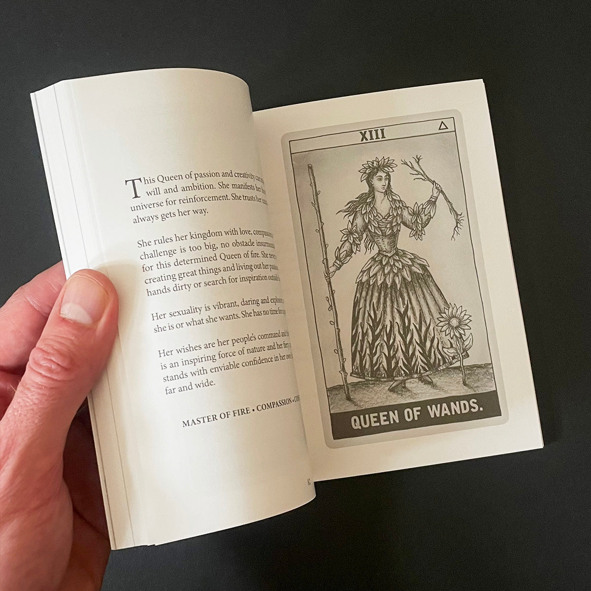 Earth Magick Tarot Guide Book