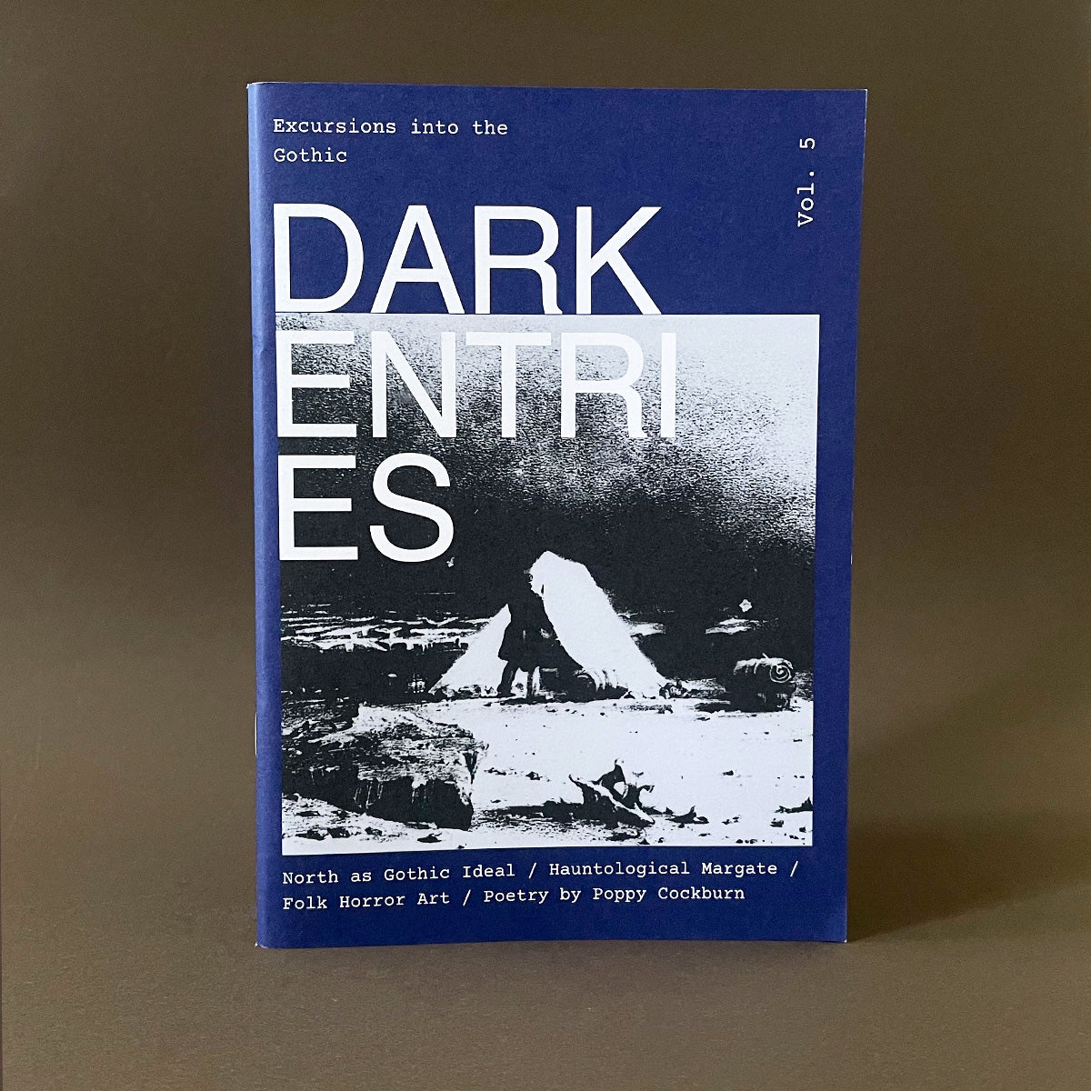 Dark Entries Issue 5