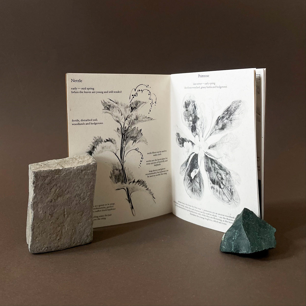 Eating Weeds Zine - Hanna Matthews - Haus Nostromo