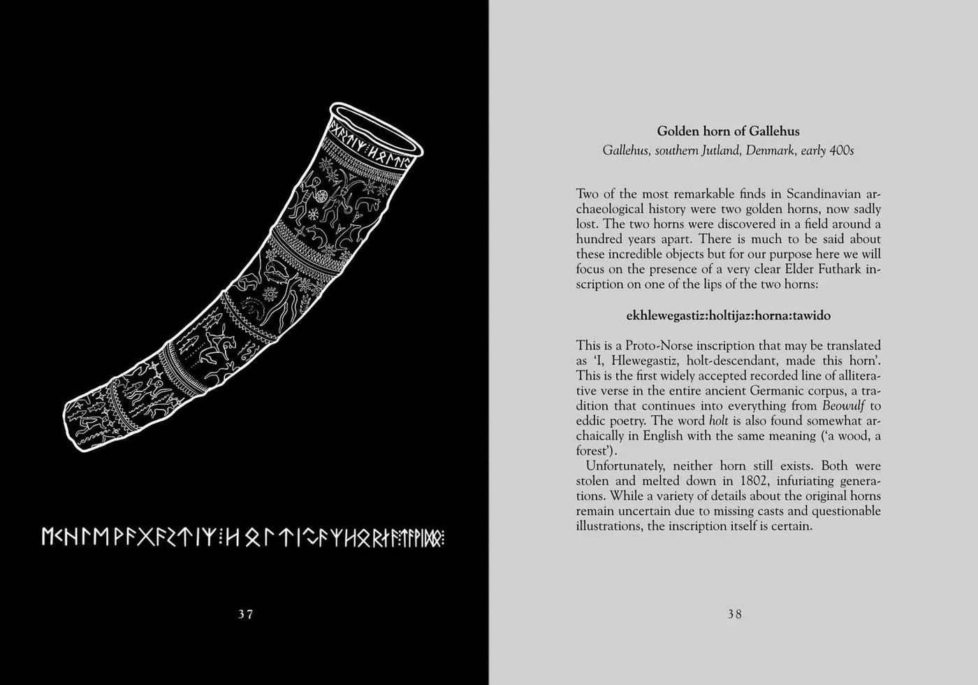 The Elder Futhark: The Oldest Runes - Hyldyr - Haus Nostromo