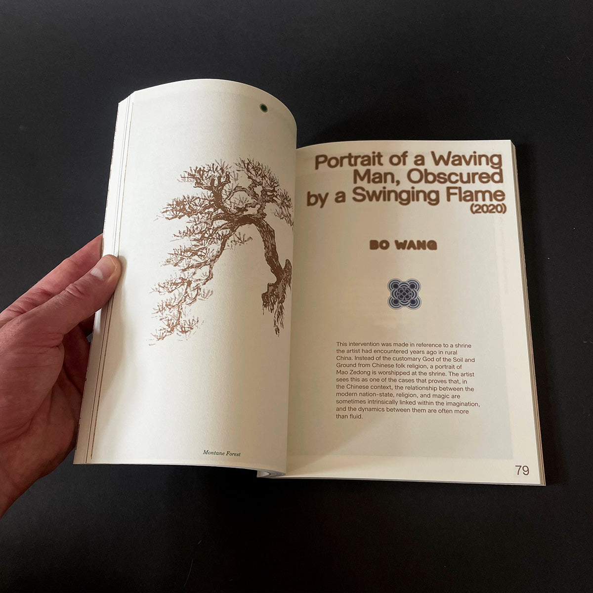 Enfleshed - Ecologies of Entities and Beings - Onomatopee - Haus Nostromo