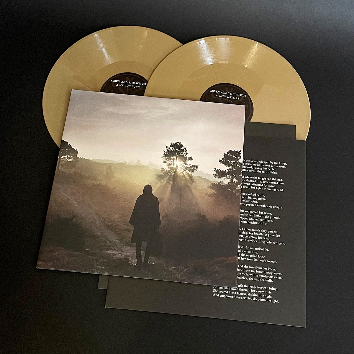 "A New Nature" Bronze Gold 2LP - Esben And The Witch - Haus Nostromo