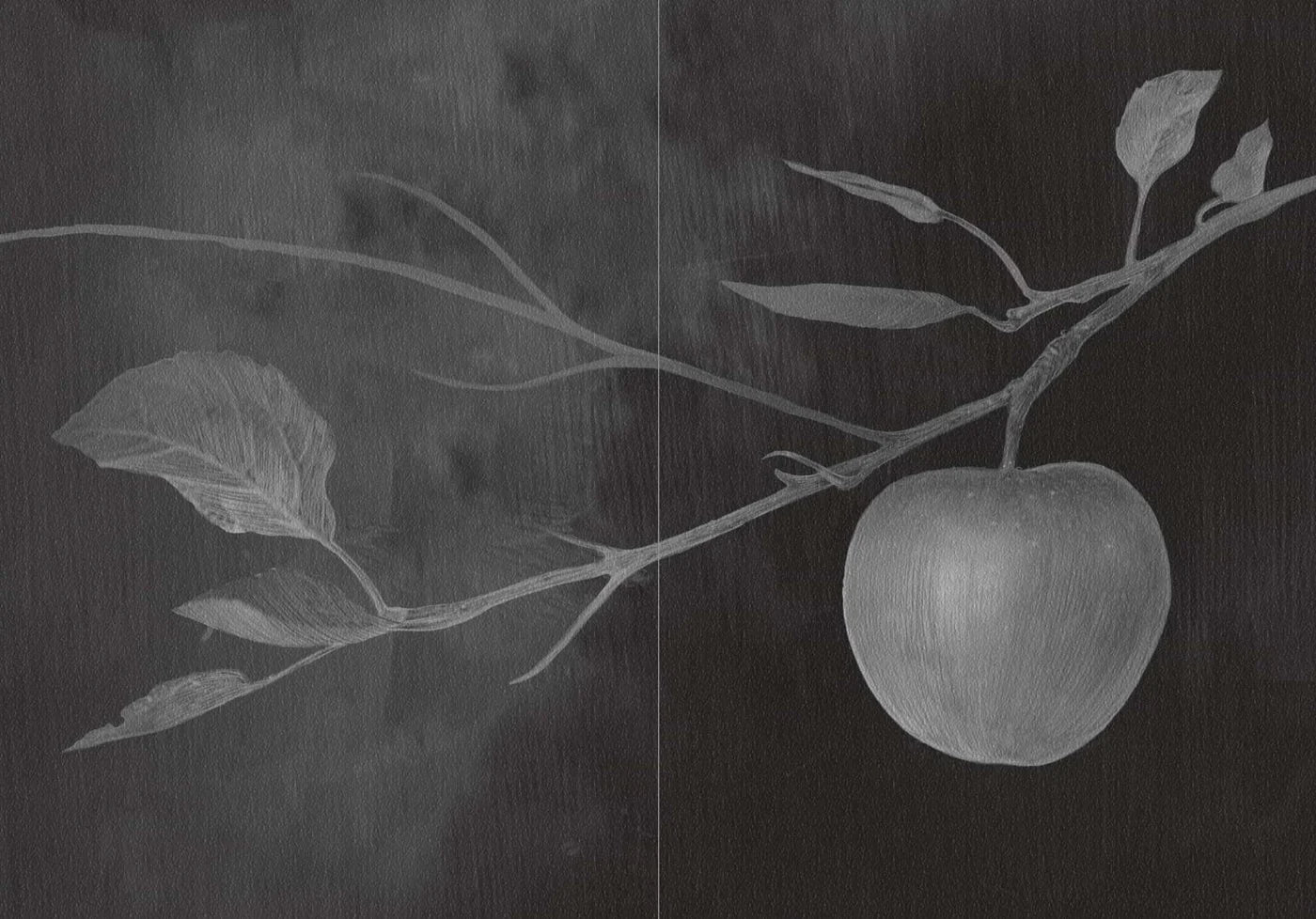 Fröja's Apples - Hyldyr - Haus Nostromo