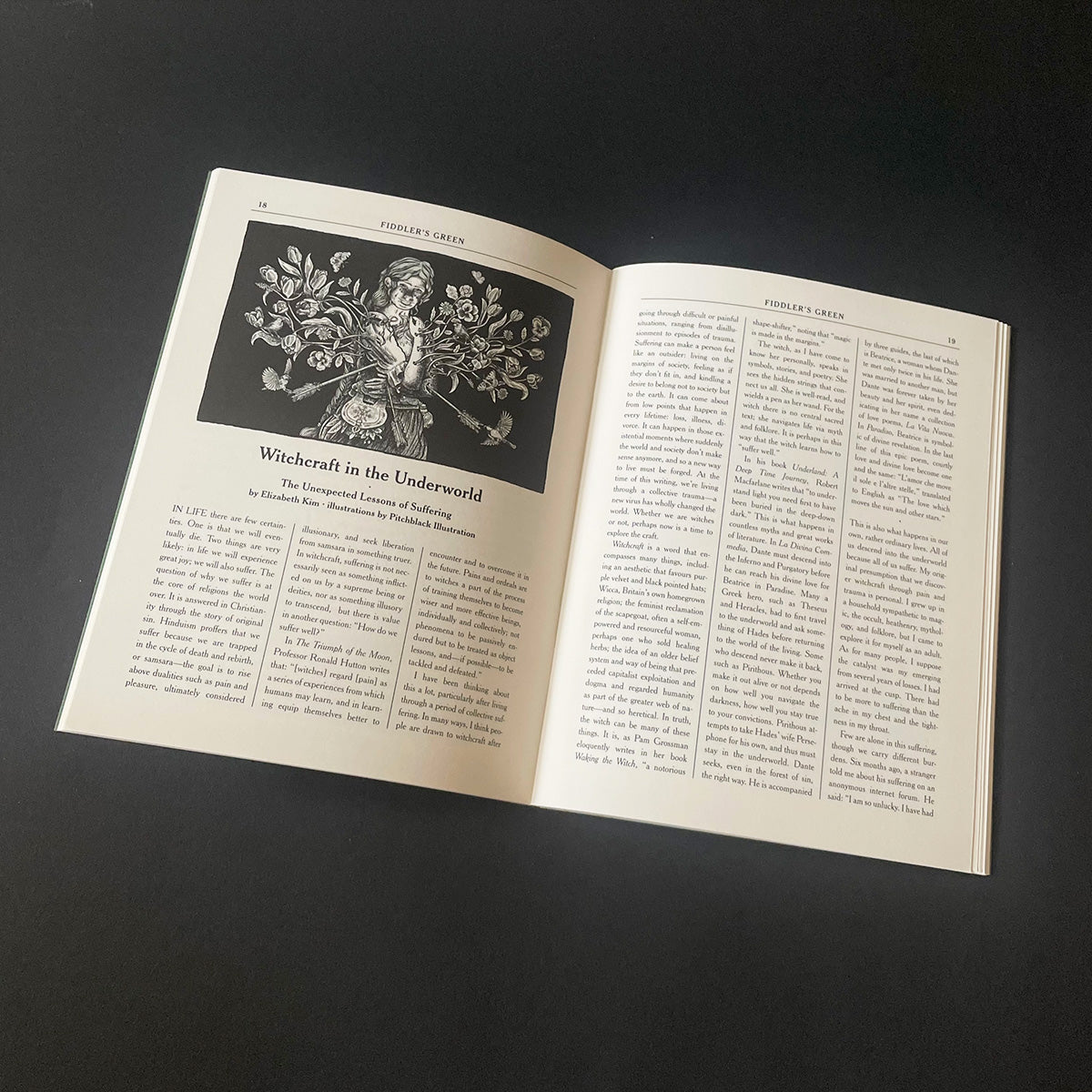 Fiddler's Green 9: Akashic Ashcan