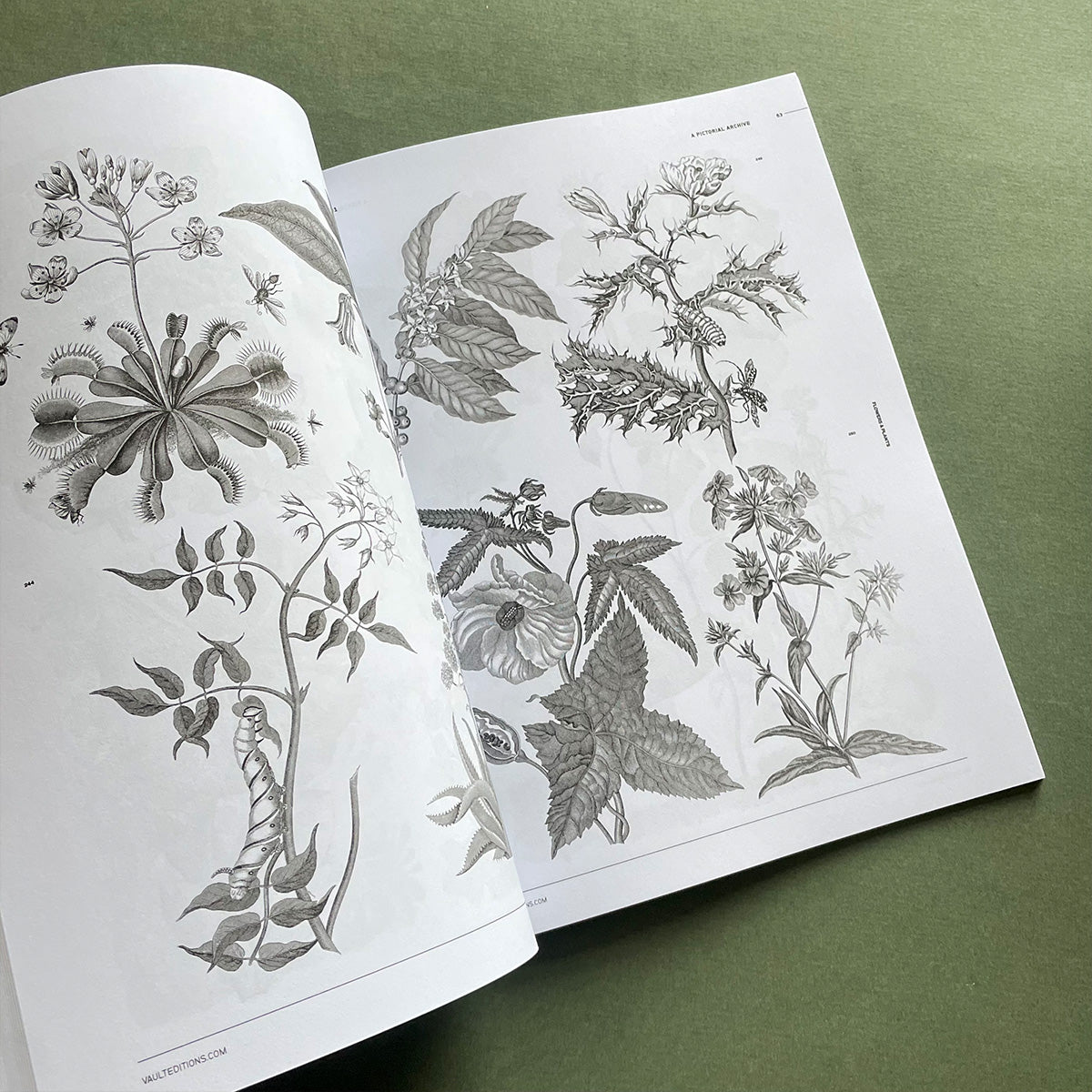 Flowers & Plants - Vault Editions - Haus Nostromo