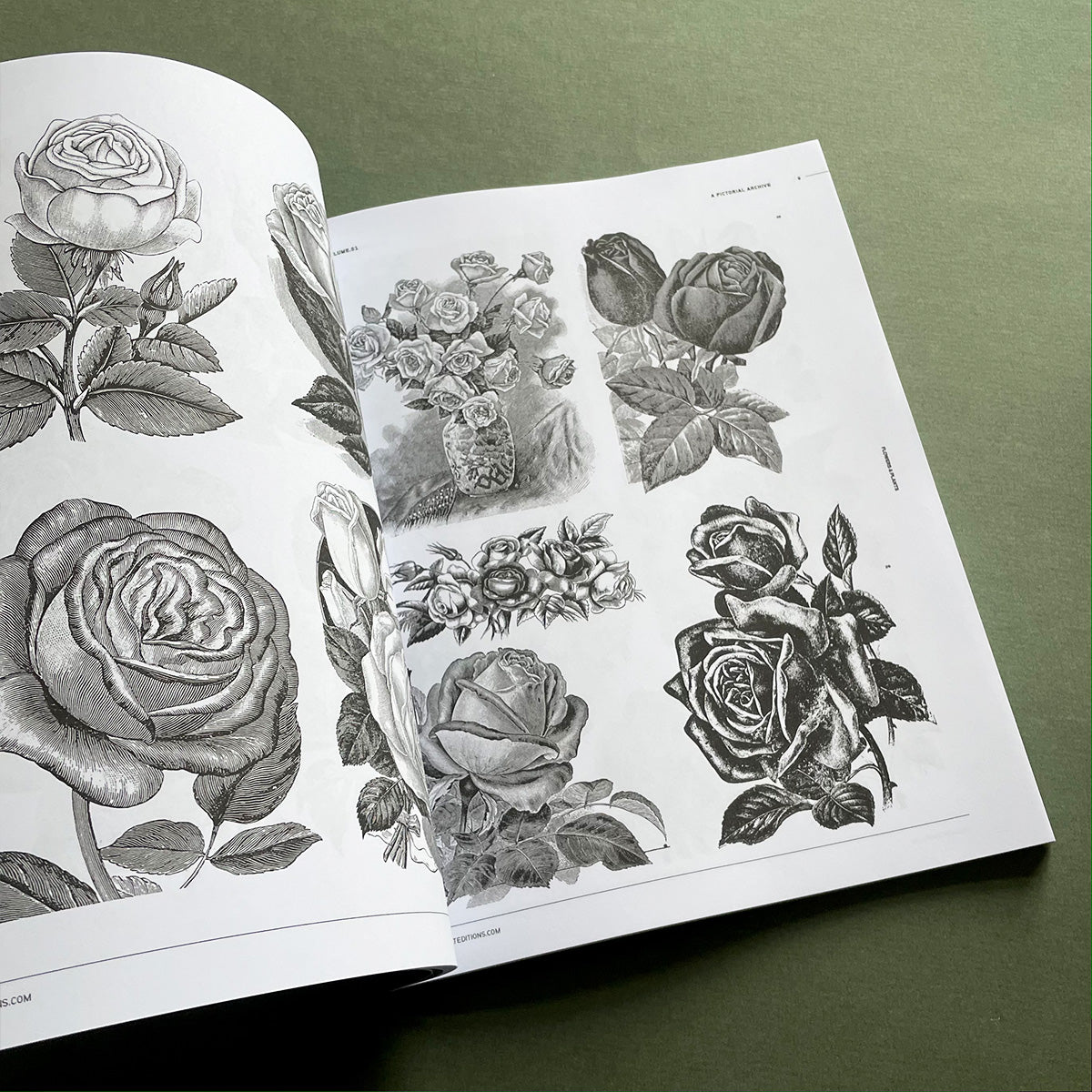 Flowers & Plants - Vault Editions - Haus Nostromo