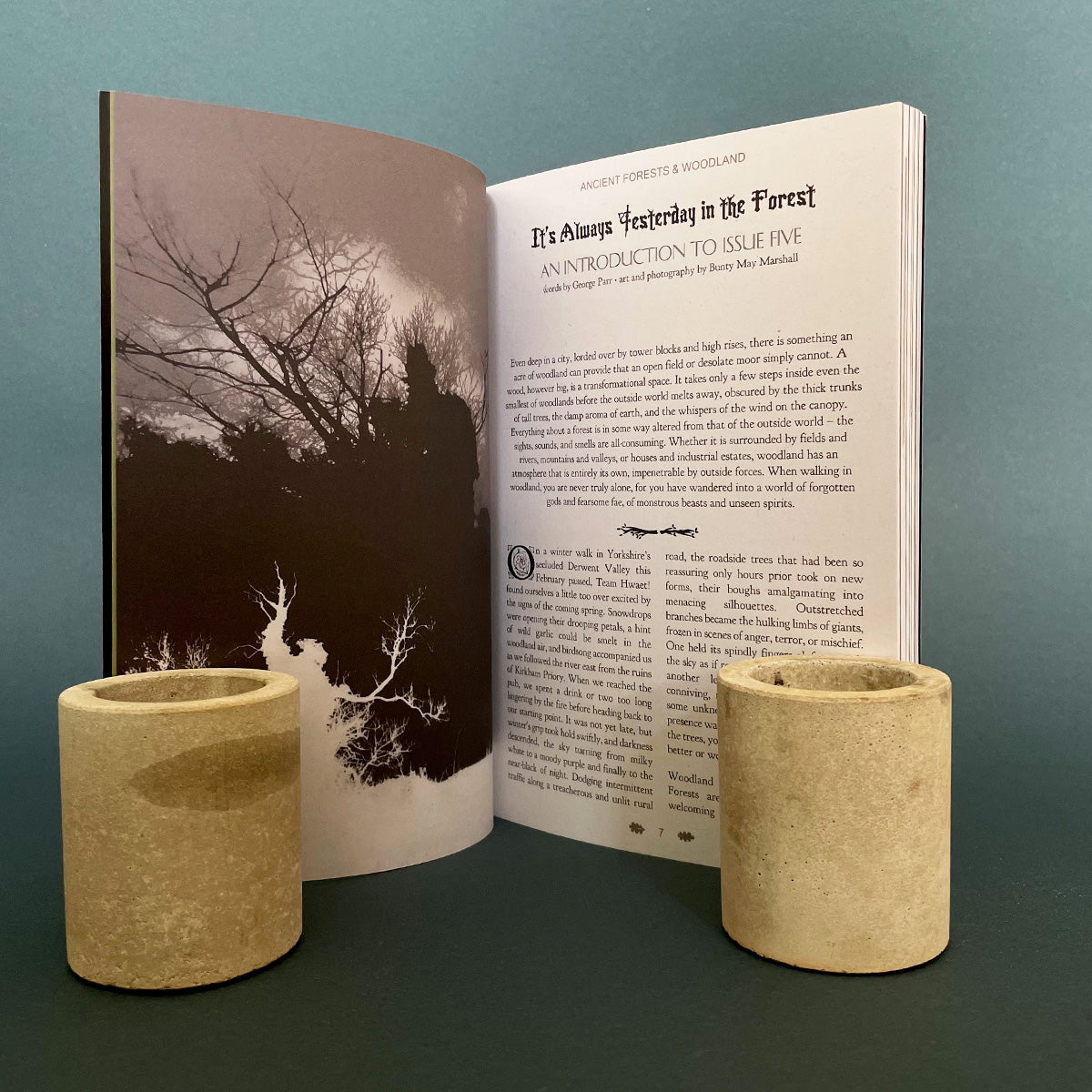 Hwaet! Zine Issue 5: Forests & Ancient Woodlands - Hwaet! - Haus Nostromo