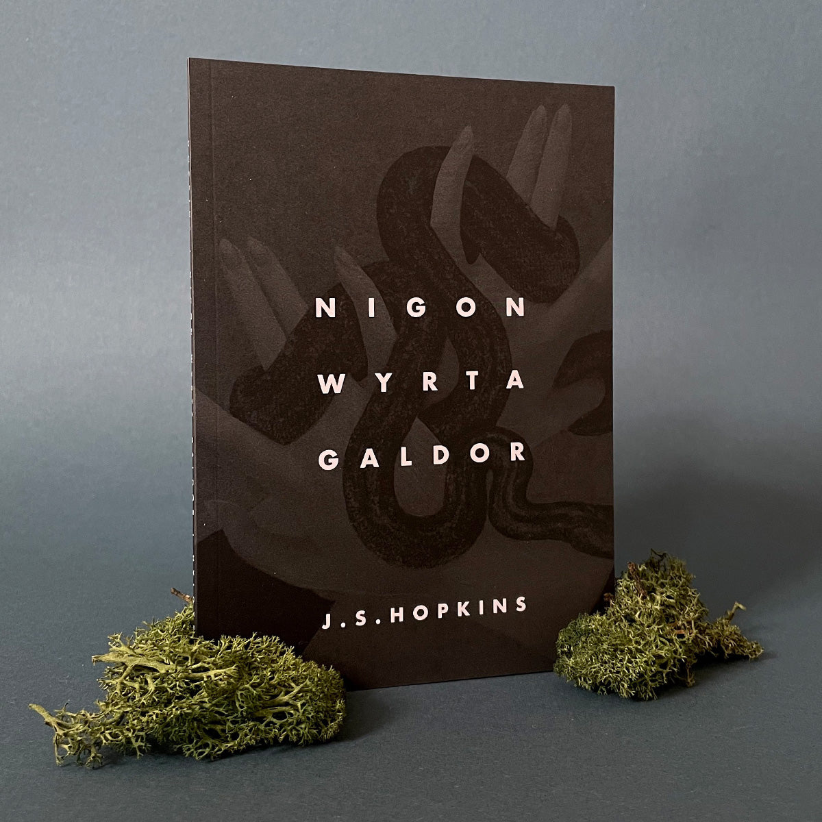 Nigon Wyrta Galdor: The Nine Herbs Charm (1st edition)