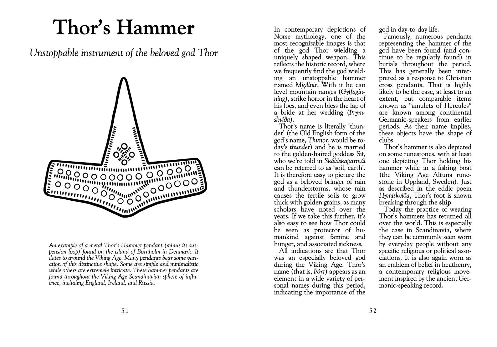 The Little Book of Viking Age Symbols - Hyldyr - Haus Nostromo