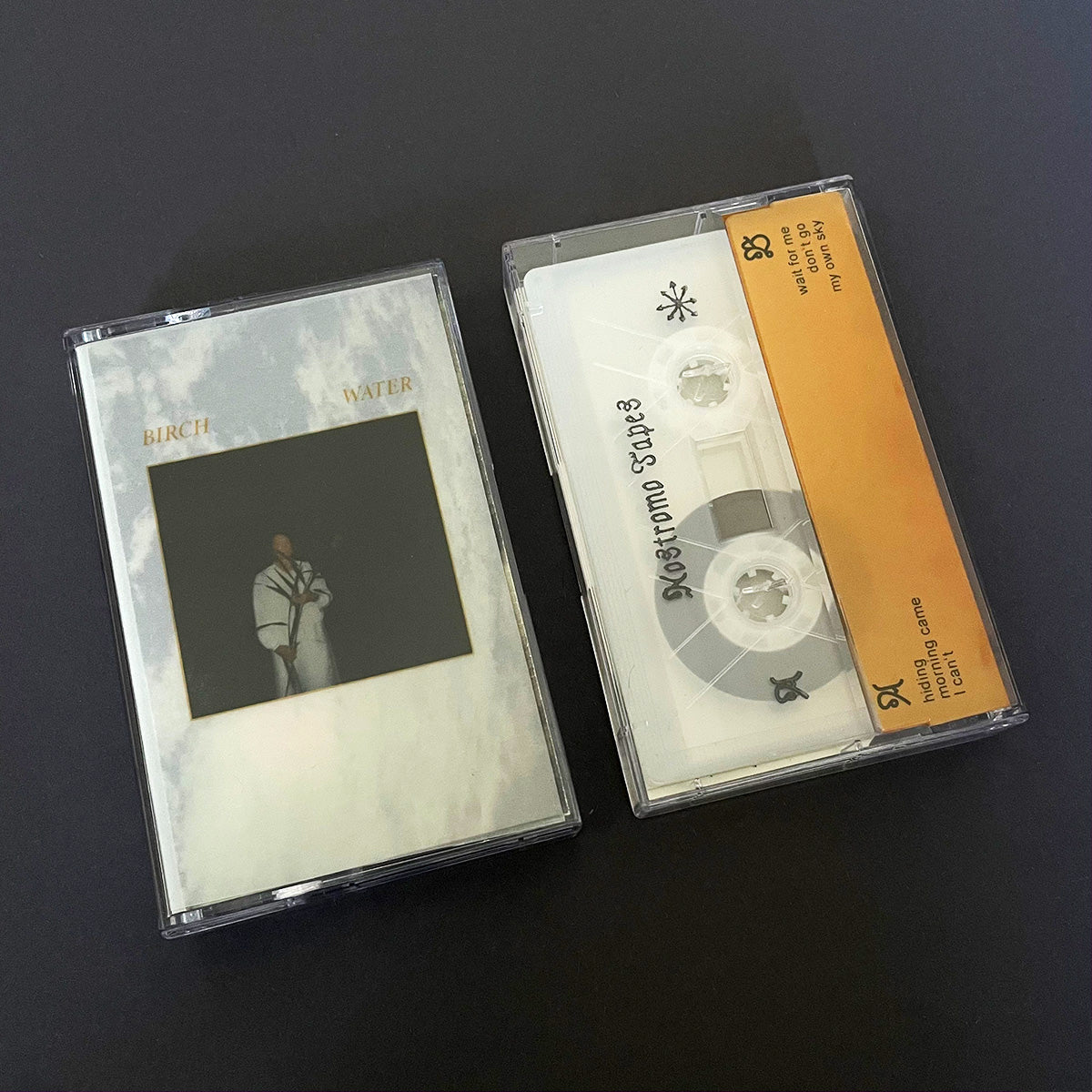 Birch Water Cassette Tape - Kiyo - Haus Nostromo