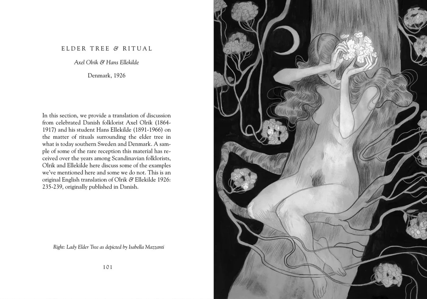 Lady Elder Tree: Northern Animism & Witchcraft - Hyldyr - Haus Nostromo