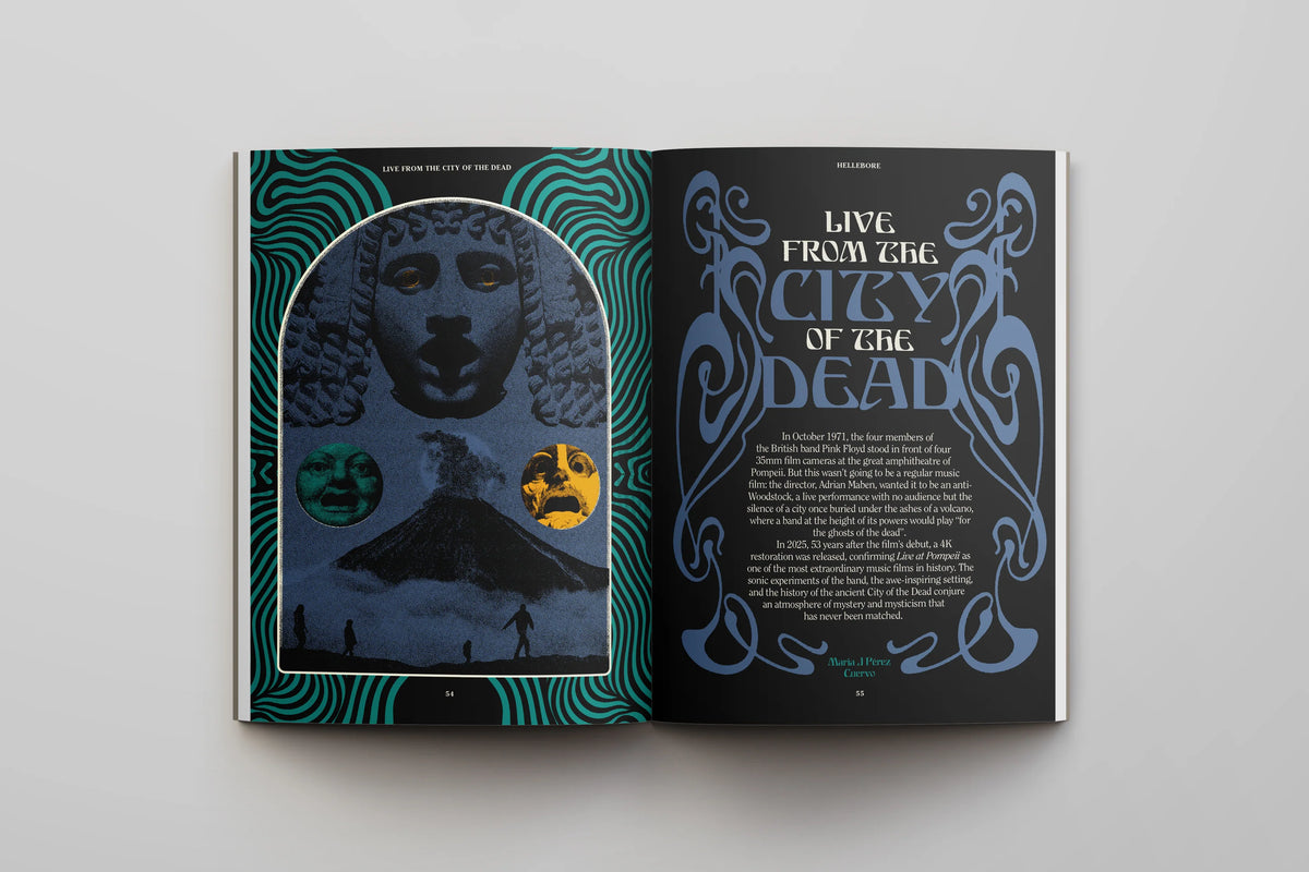 Hellebore Issue 16: The Mystery Issue