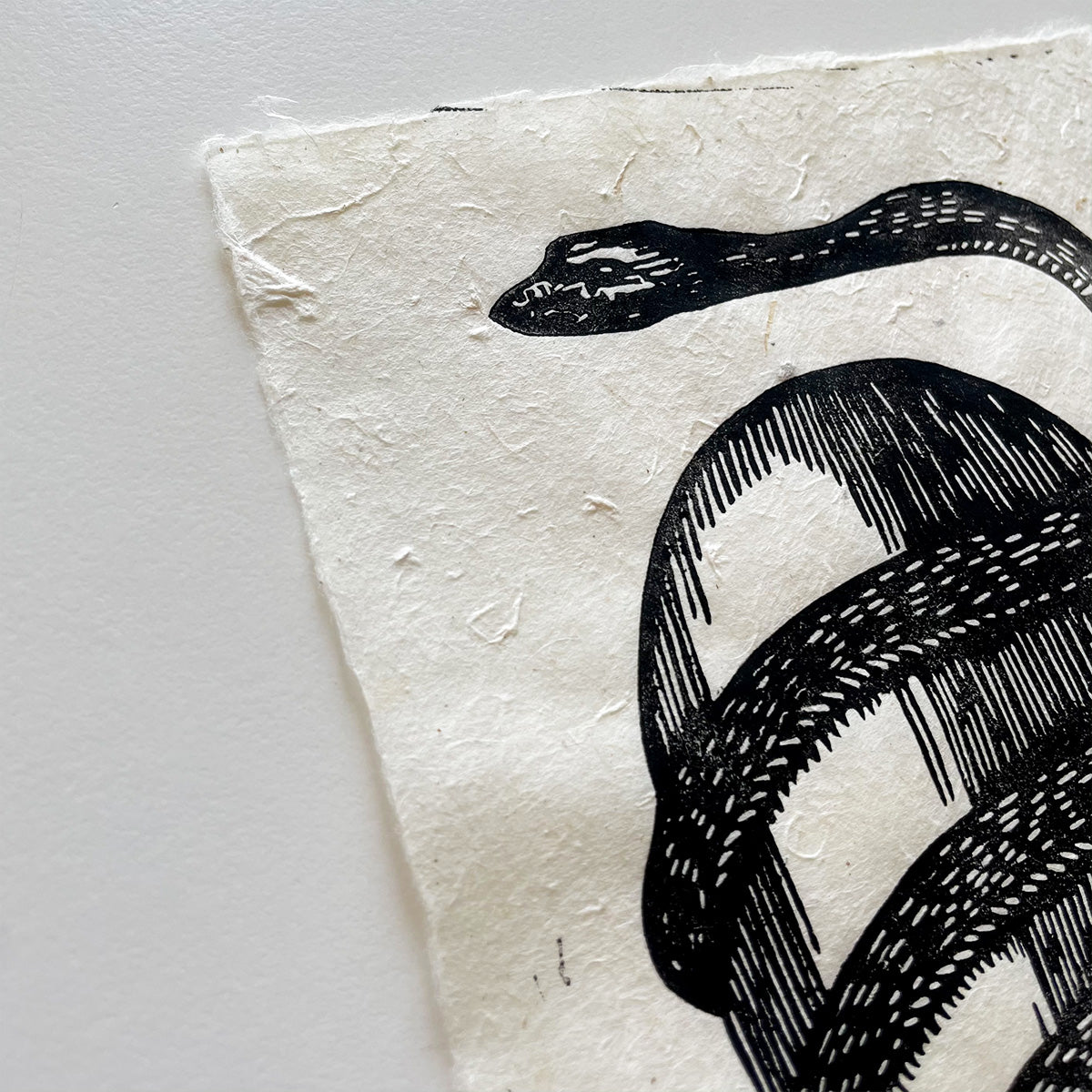 "Orphic Egg" Linocut Print