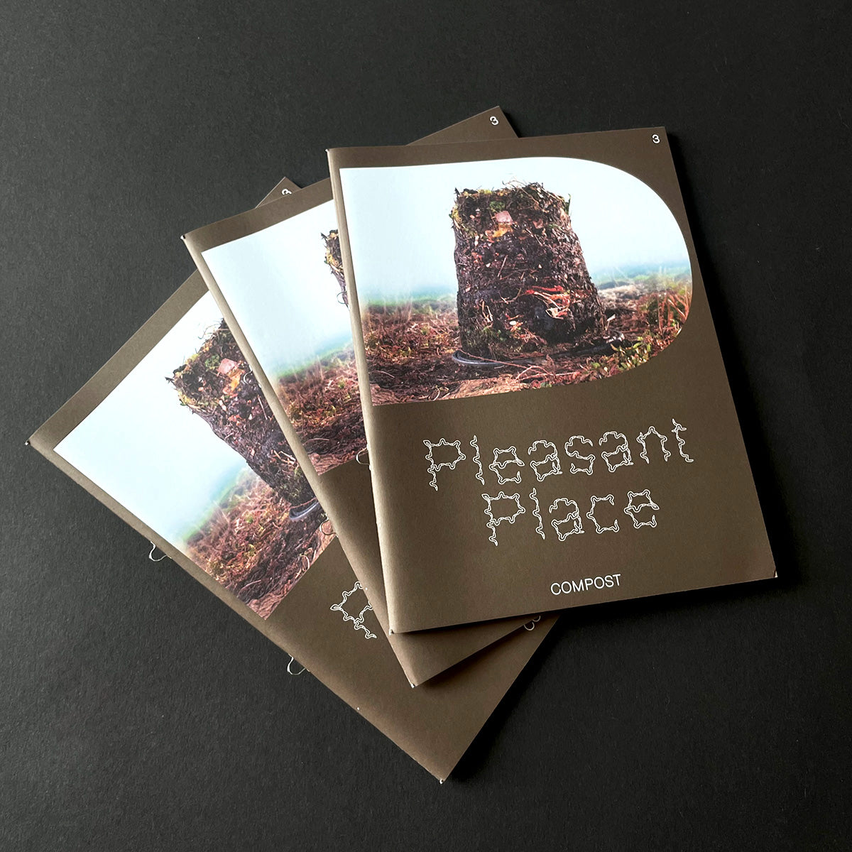 Pleasant Place Issue 3: Compost