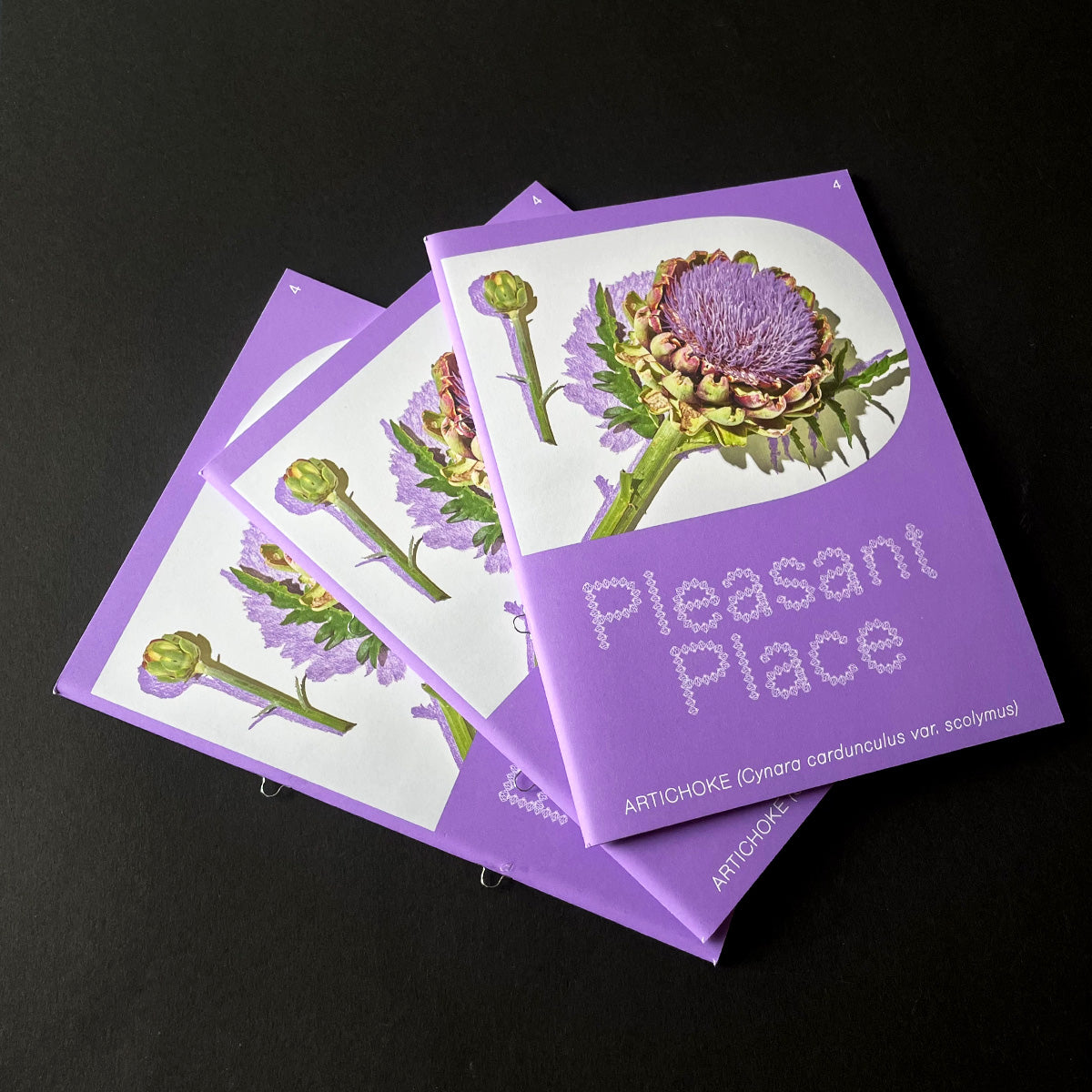 Pleasant Place Issue 4: Artichoke
