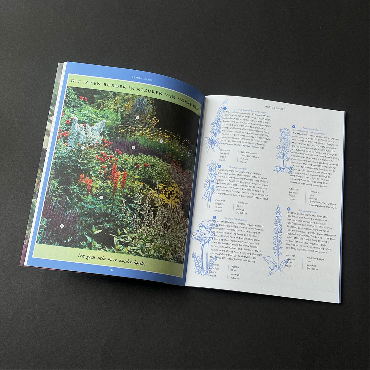 Pleasant Place Issue 5: Mien Ruys