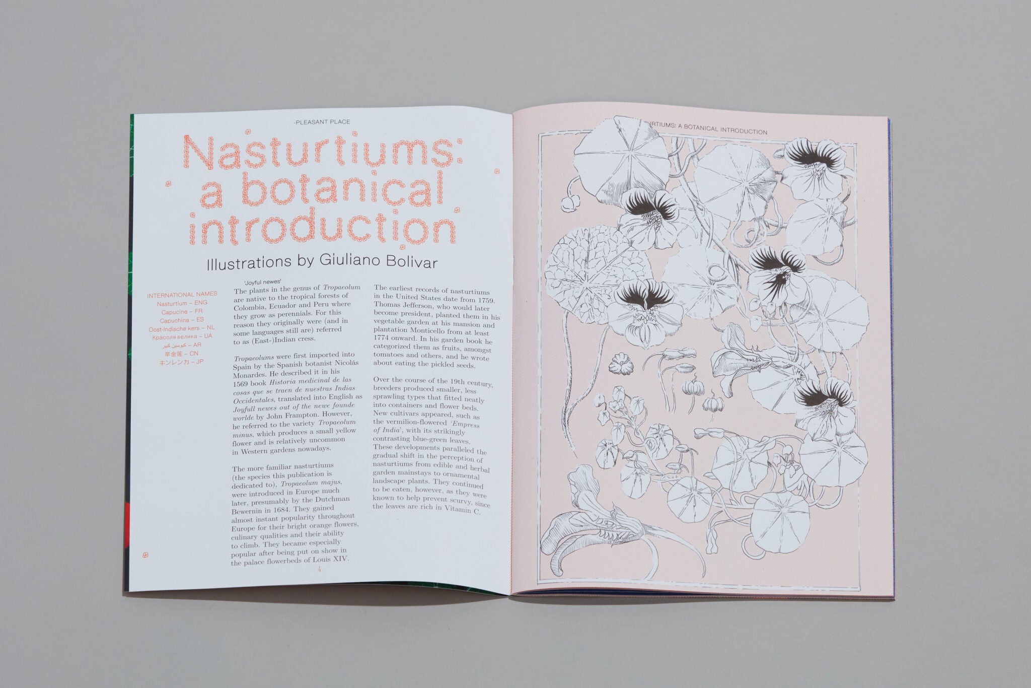 Pleasant Place Issue 2: Nasturtiums