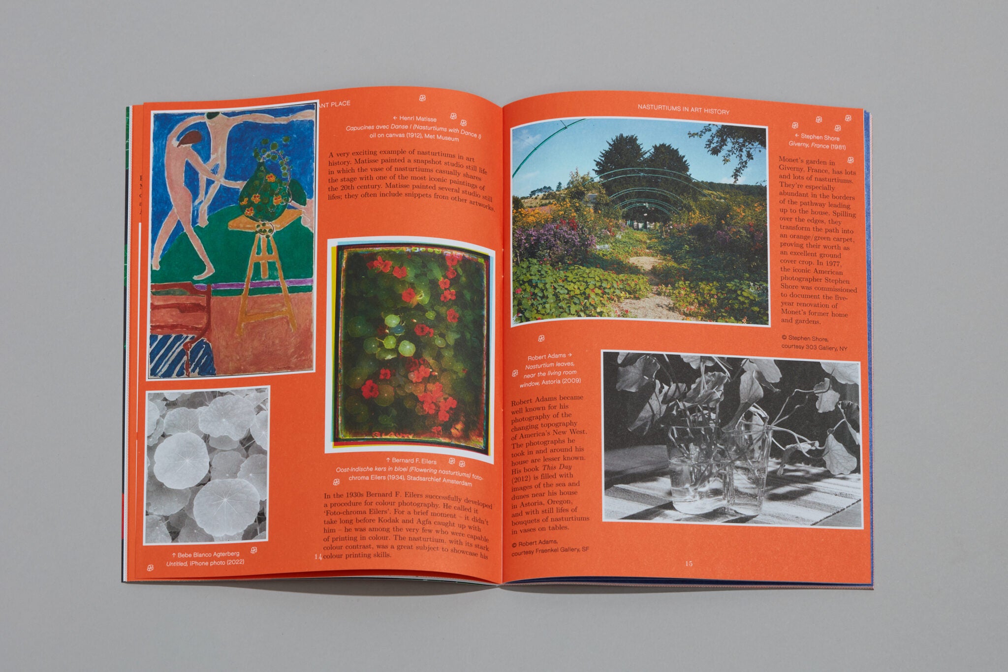 Pleasant Place Issue 2: Nasturtiums