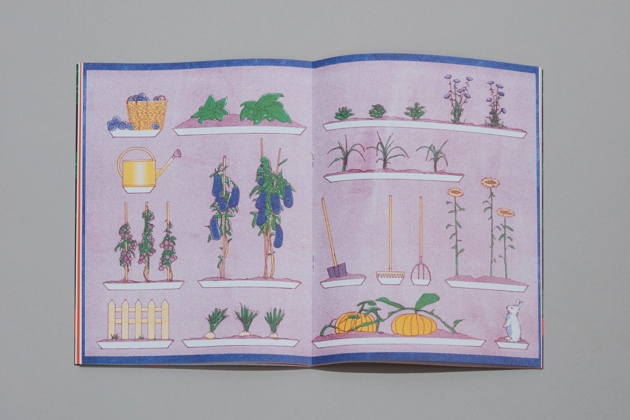 Pleasant Place Issue 2: Nasturtiums