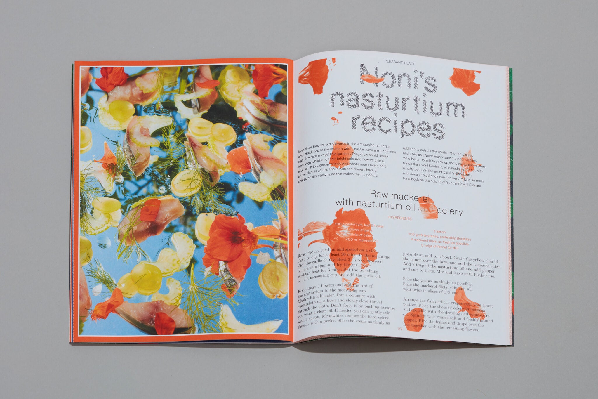 Pleasant Place Issue 2: Nasturtiums