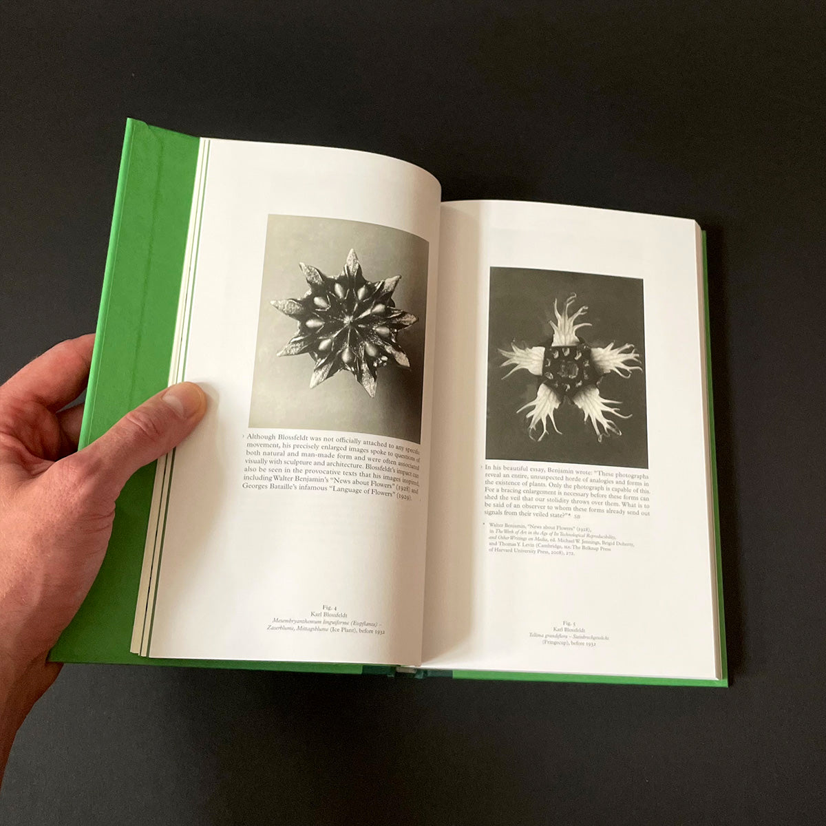 Science/Fiction: A Non-History of Plants