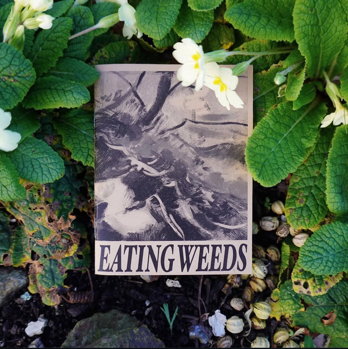 Eating Weeds Zine - Hanna Matthews - Haus Nostromo