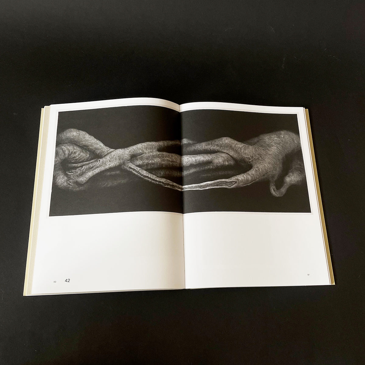 Sharing the Land — Notes on Nature - Sabina Timmermans - Haus Nostromo