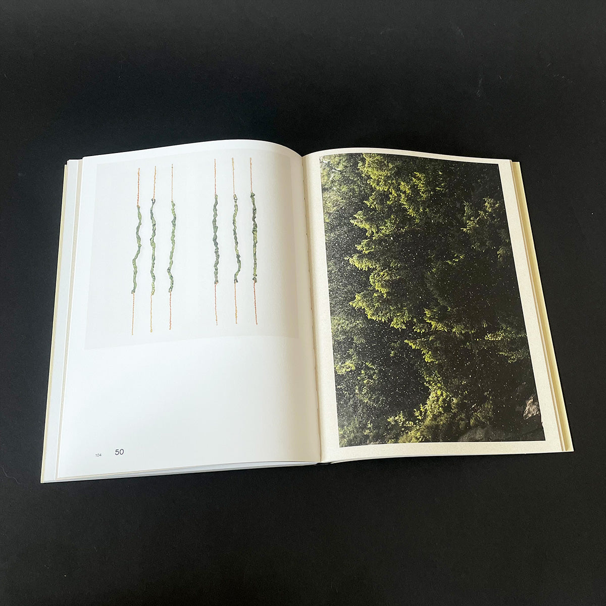 Sharing the Land — Notes on Nature