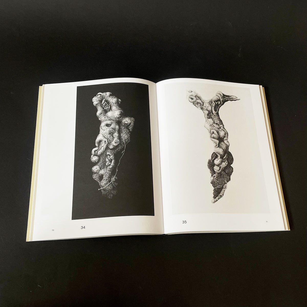 Sharing the Land — Notes on Nature - Sabina Timmermans - Haus Nostromo