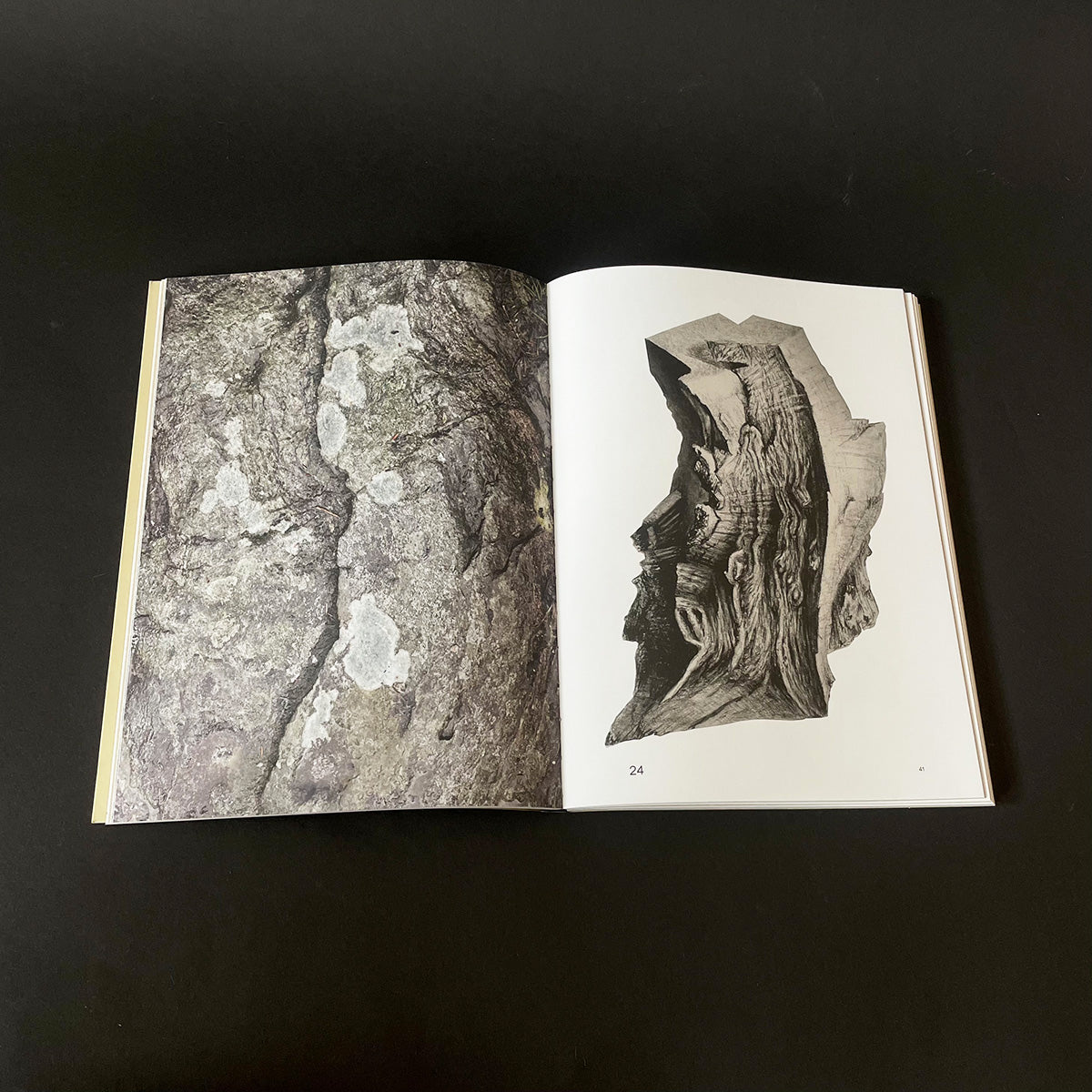 Sharing the Land — Notes on Nature