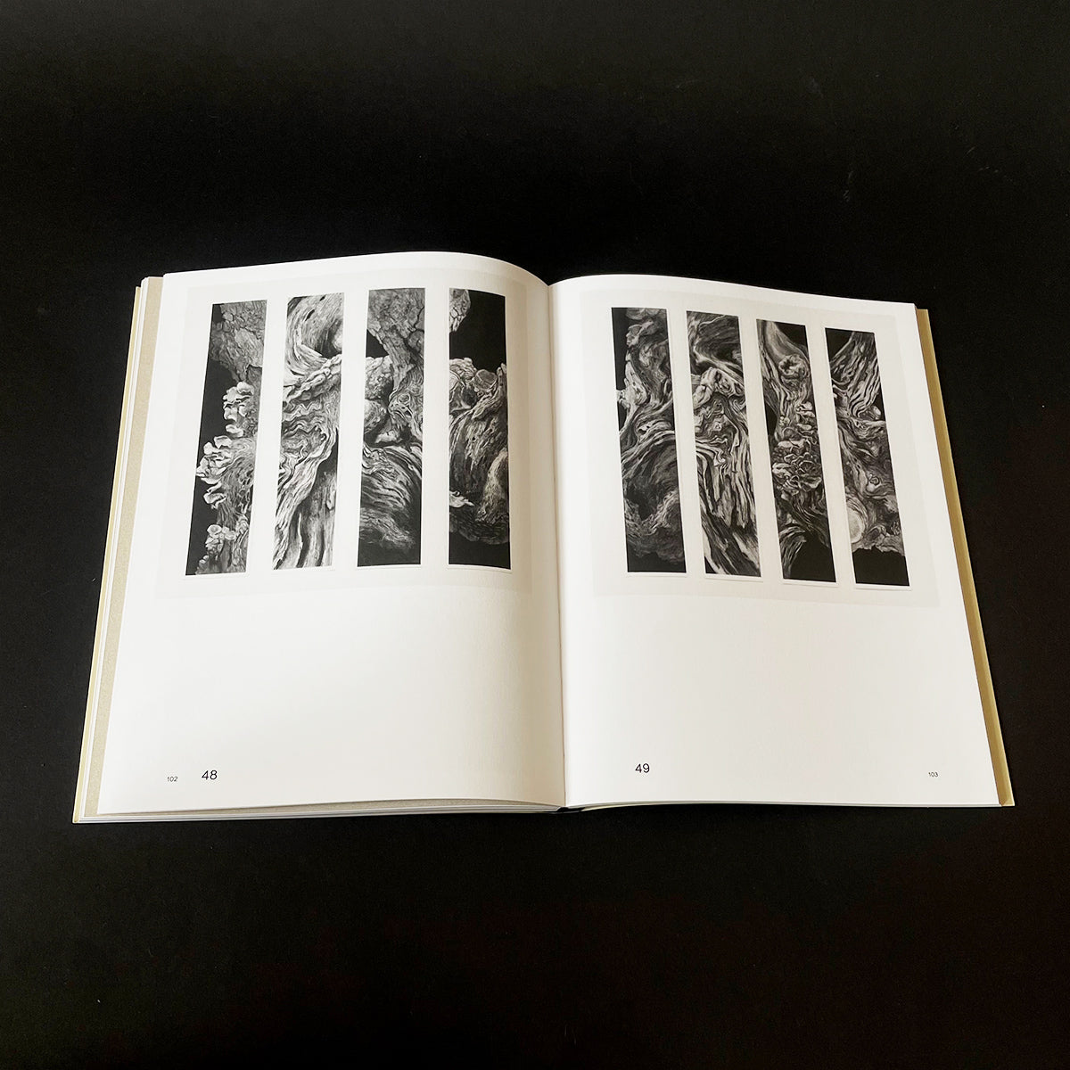 Sharing the Land — Notes on Nature - Sabina Timmermans - Haus Nostromo