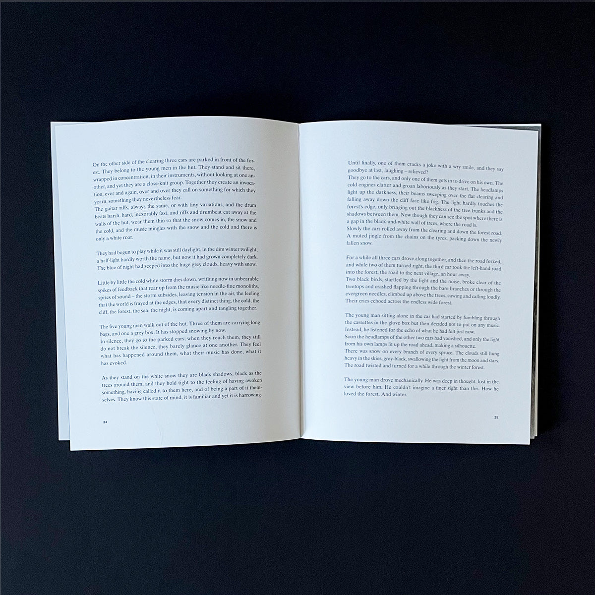 Skogtatt - Ulrike Serowy - Haus Nostromo