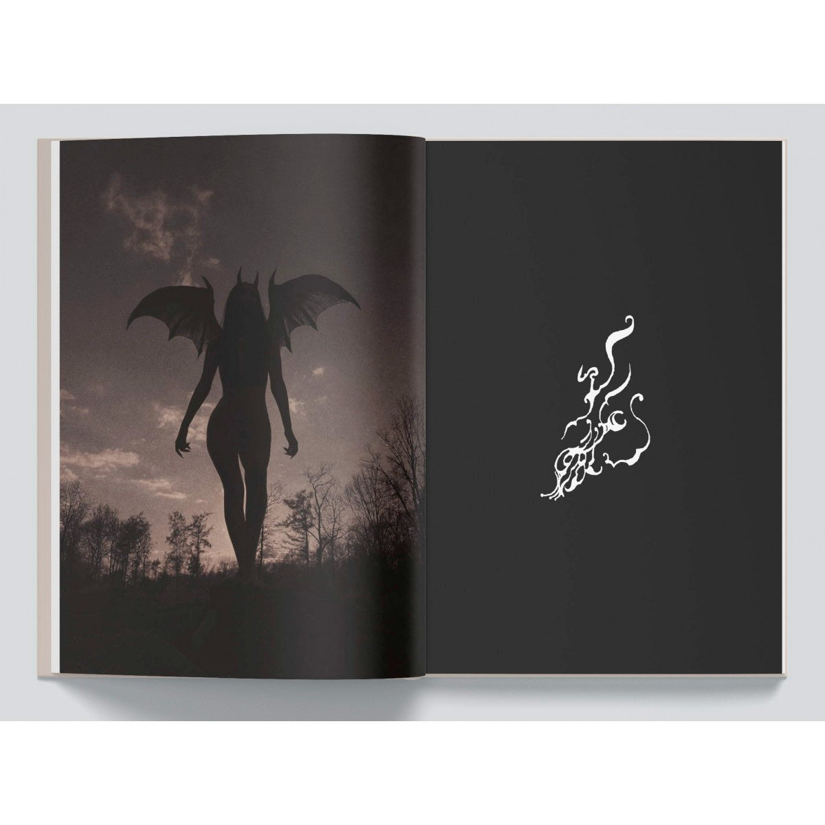 The Age Of The Succubus - Nona Limmen - Haus Nostromo