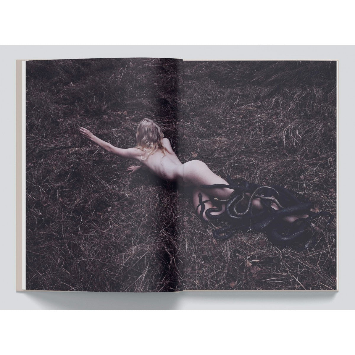 The Age Of The Succubus - Nona Limmen - Haus Nostromo