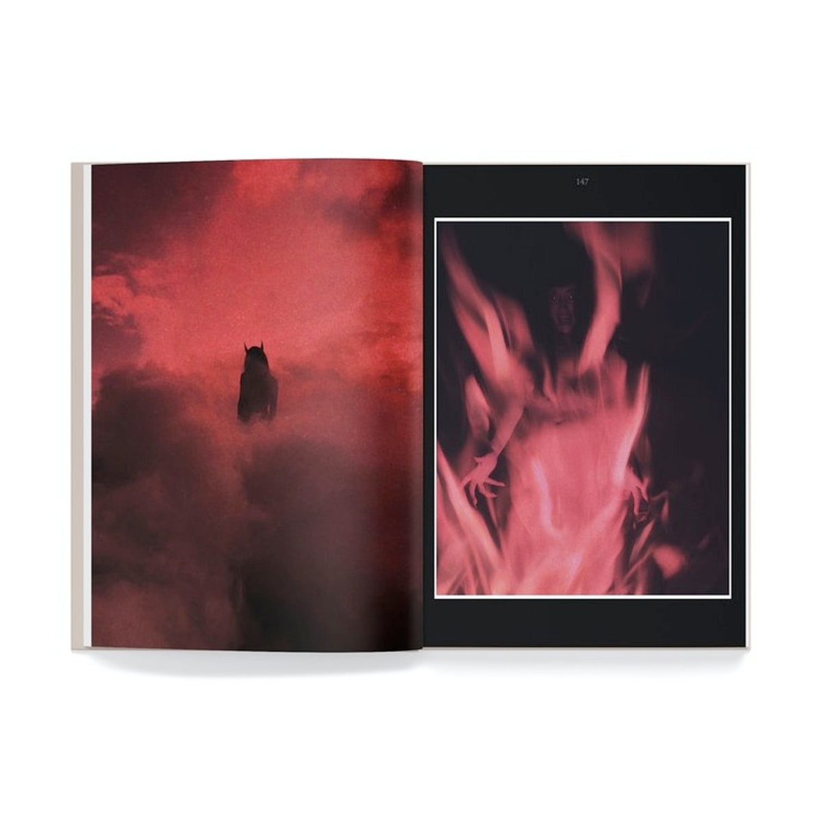 The Age Of The Succubus - Nona Limmen - Haus Nostromo