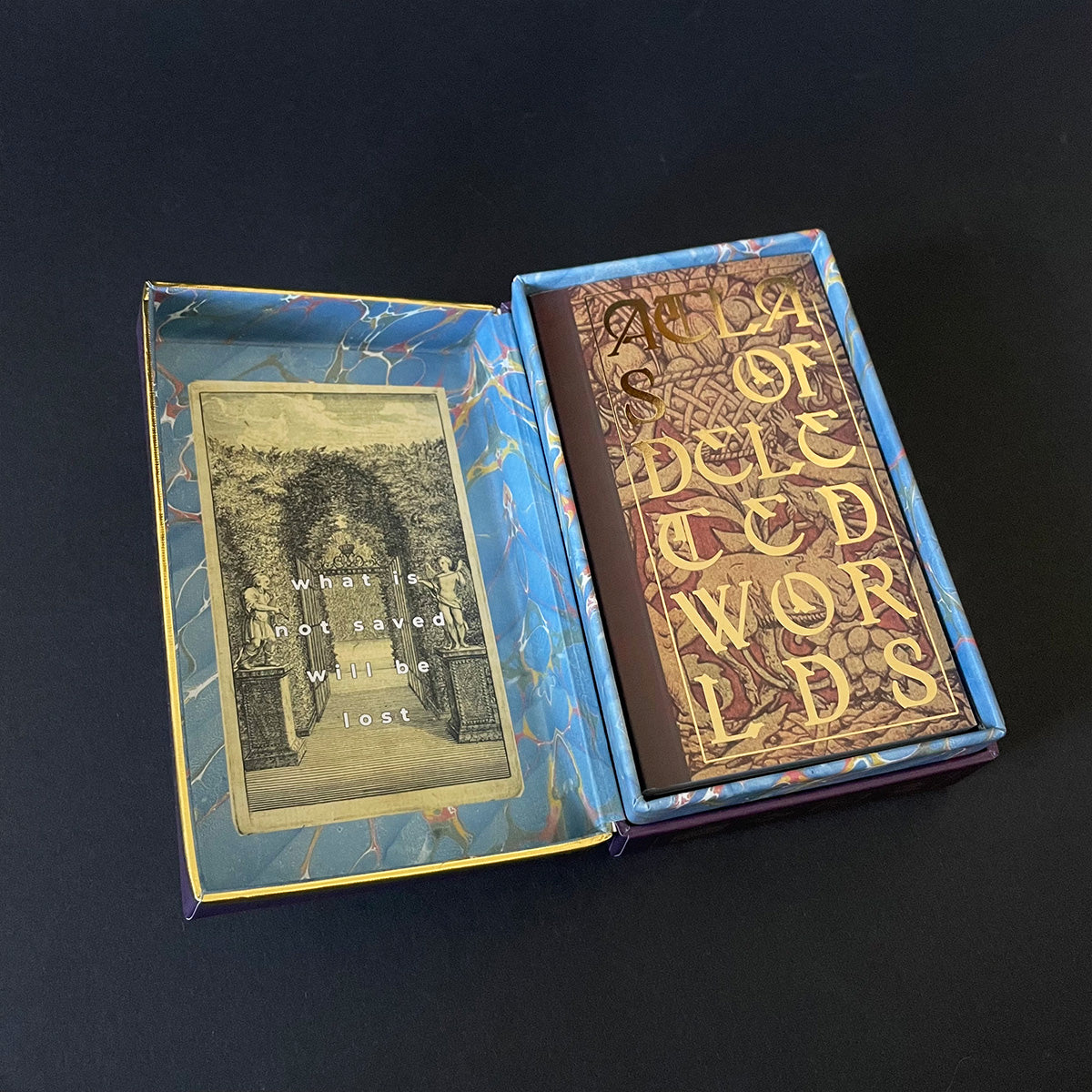 A boxed tarot deck titled 'Deleted World Tarot' with a purple and black design on a dark background.